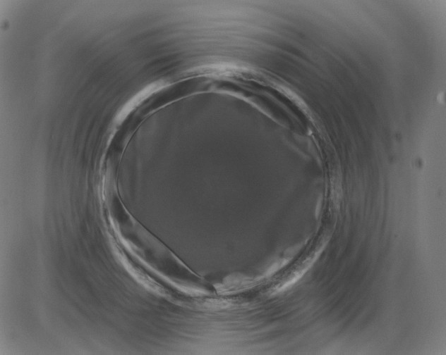 X0000084051034200703161851