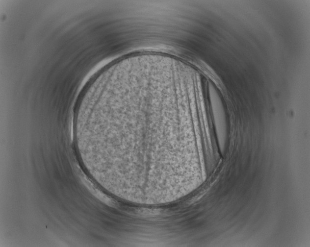 X0000084051036200703161851