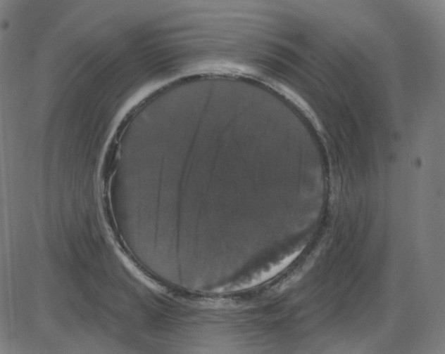 X0000084051037200703161851