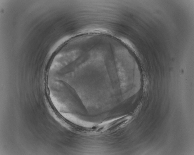 X0000084051038200703161852