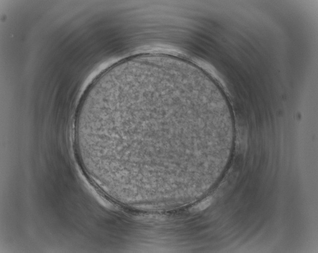 X0000084051040200703161852