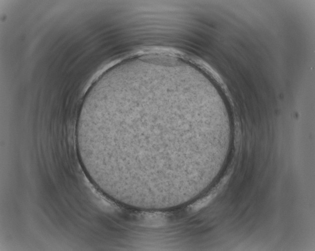 X0000084051041200703161852