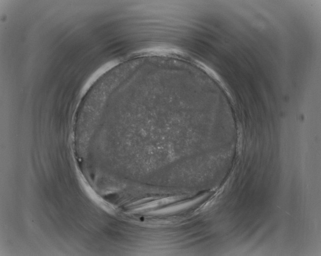 X0000084051042200703161852