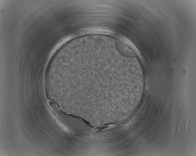 X0000084051043200703161852