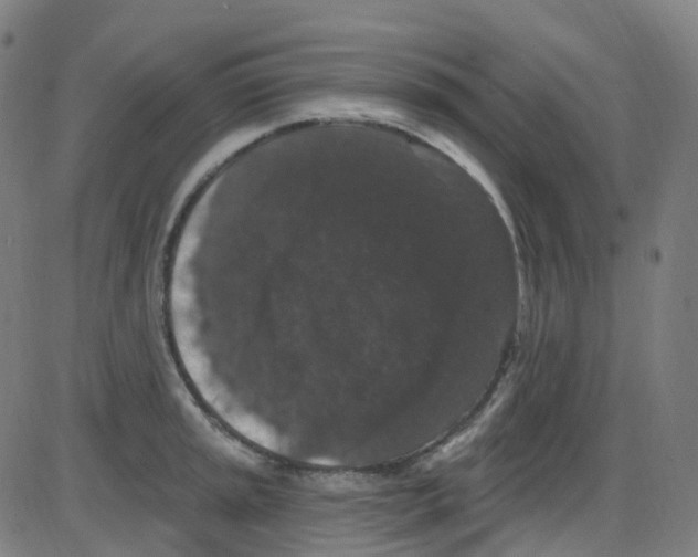 X0000084051045200703161852