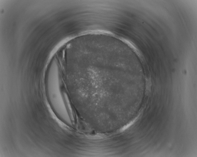 X0000084051046200703161852