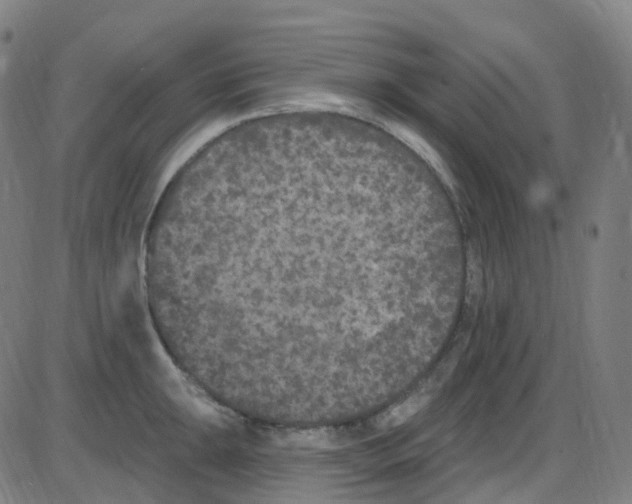 X0000084051047200703161852