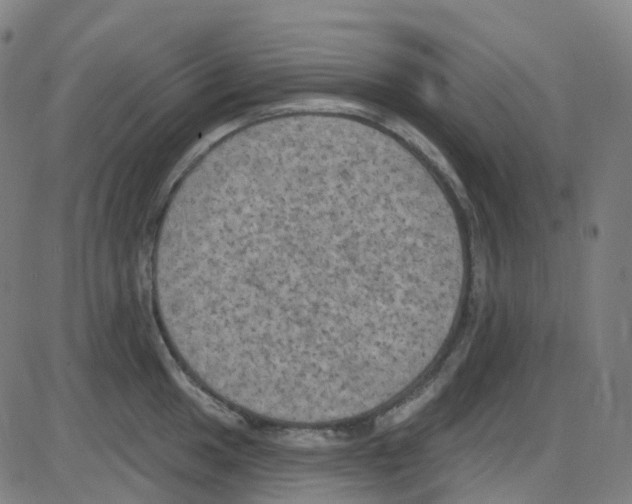 X0000084051049200703161852