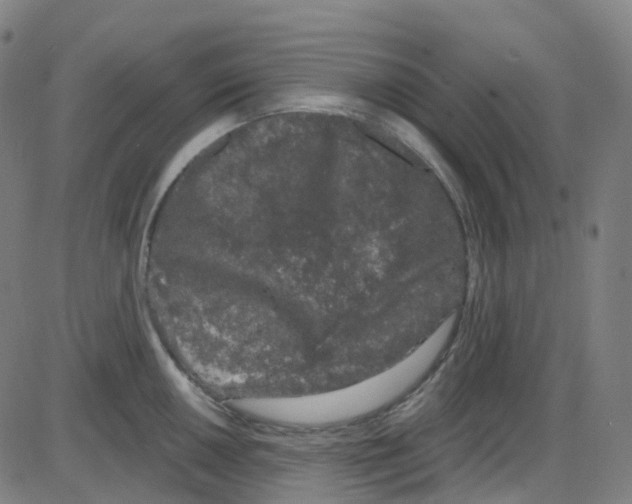 X0000084051050200703161852