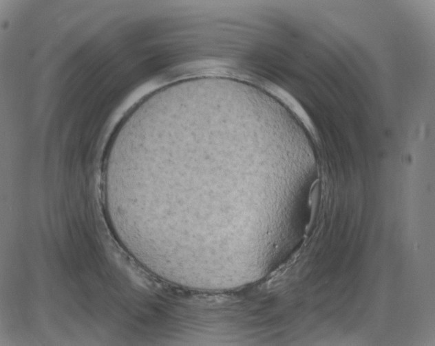 X0000084051051200703161852