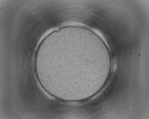 X0000084051053200703161852