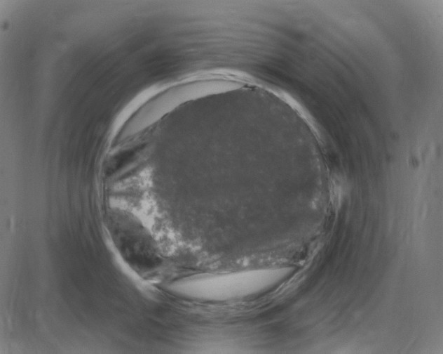 X0000084051054200703161852