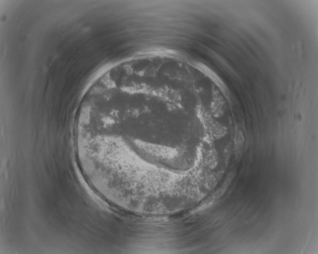 X0000084051055200703161852