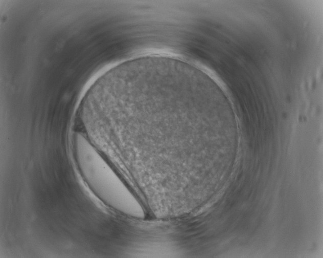 X0000084051056200703161852