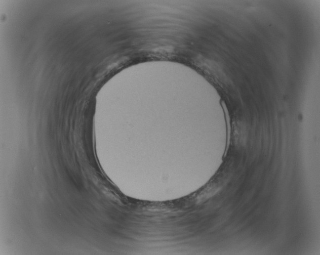 X0000084051057200703161851