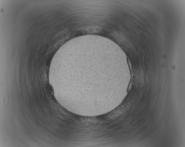 X0000084051058200703161851