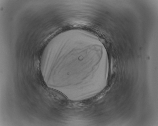 X0000084051061200703161851