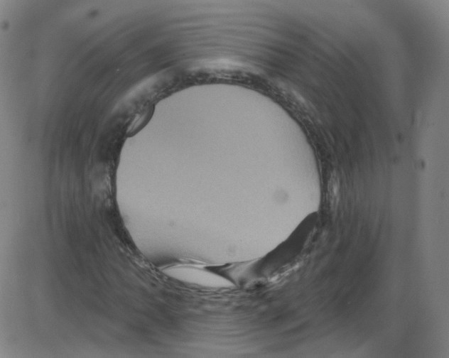 X0000084051062200703161851