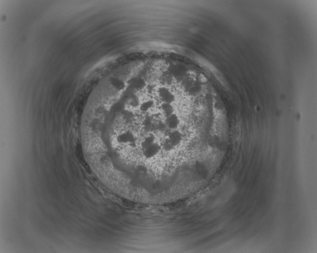 X0000084051063200703161851