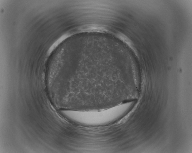 X0000084051066200703161851