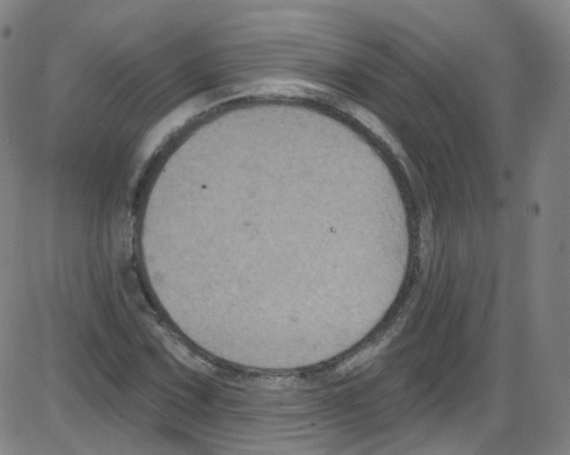 X0000084051067200703161851