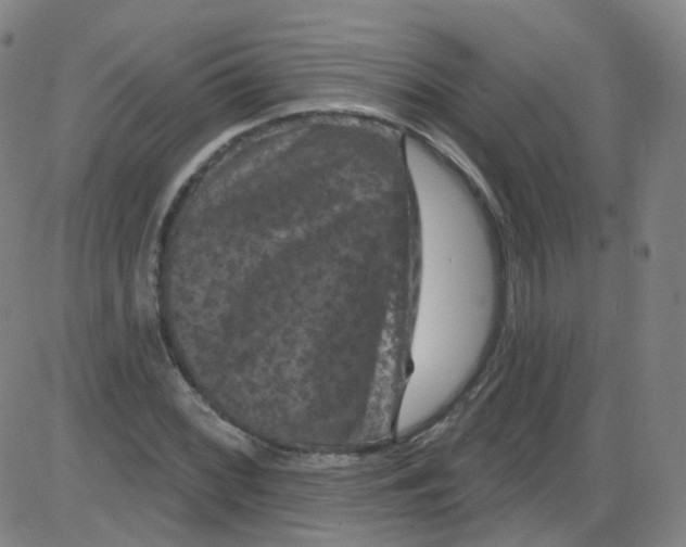 X0000084051068200703161851