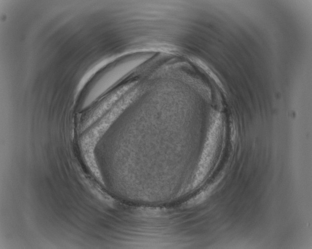 X0000084051069200703161851