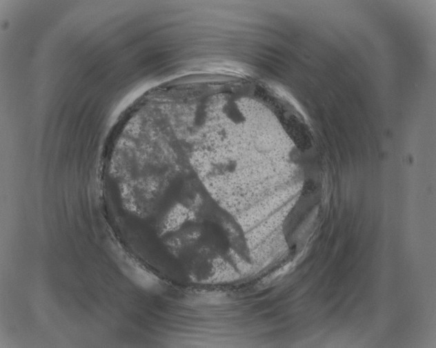 X0000084051071200703161851