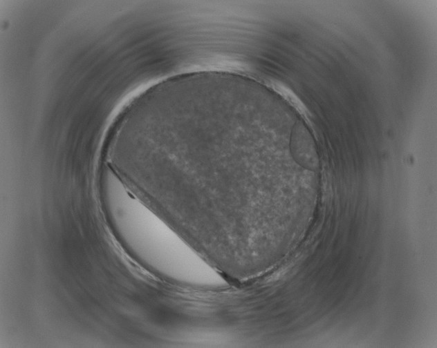 X0000084051072200703161851