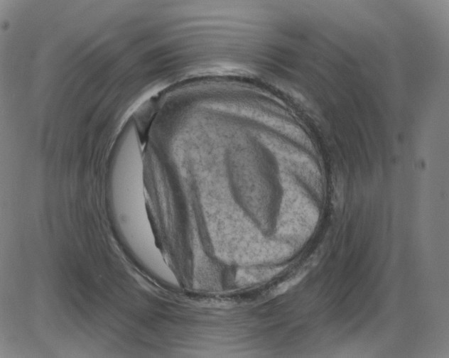 X0000084051073200703161851