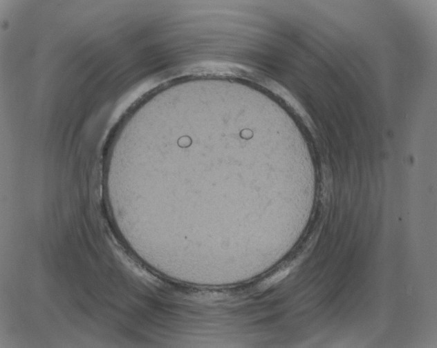 X0000084051075200703161851