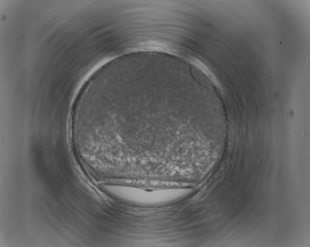 X0000084051076200703161851