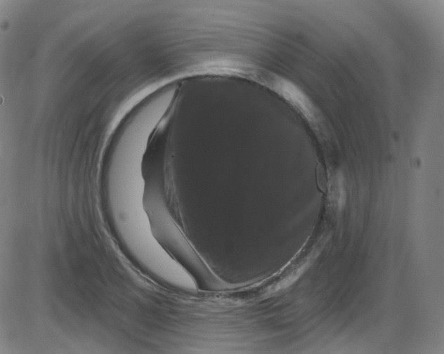 X0000084051077200703161851