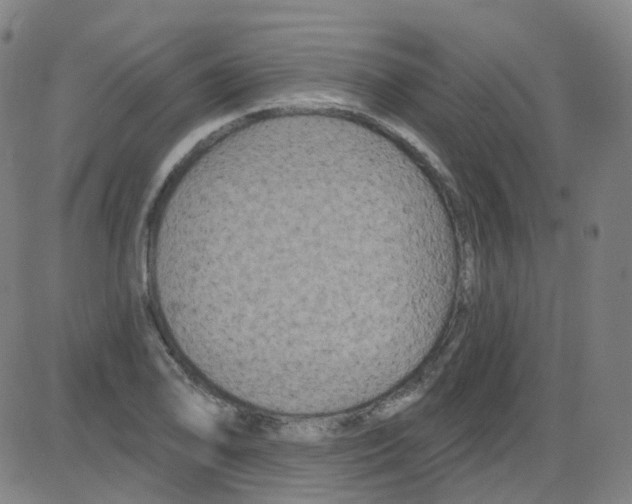 X0000084051078200703161851