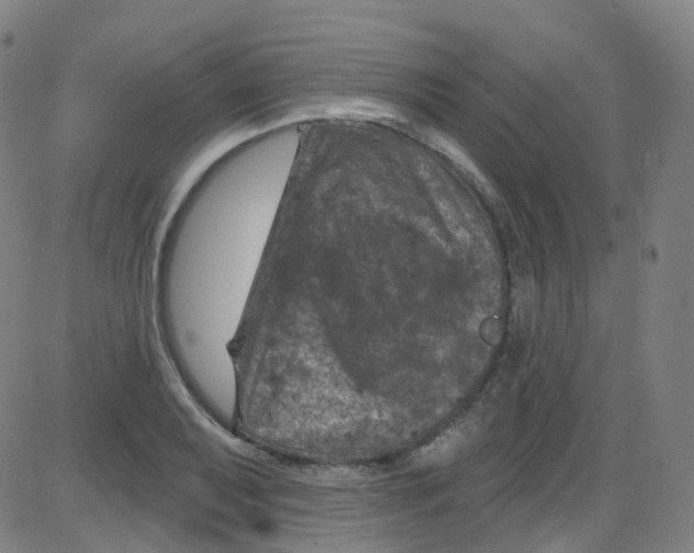 X0000084051079200703161851