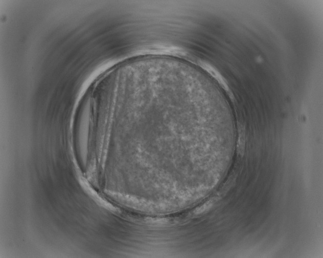 X0000084051080200703161851