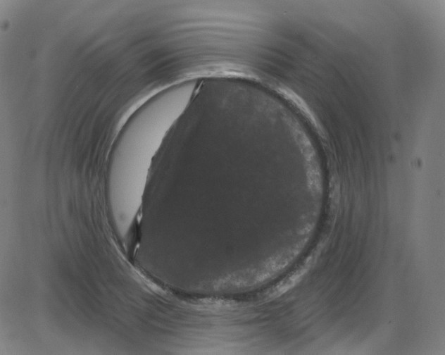 X0000084051081200703161851