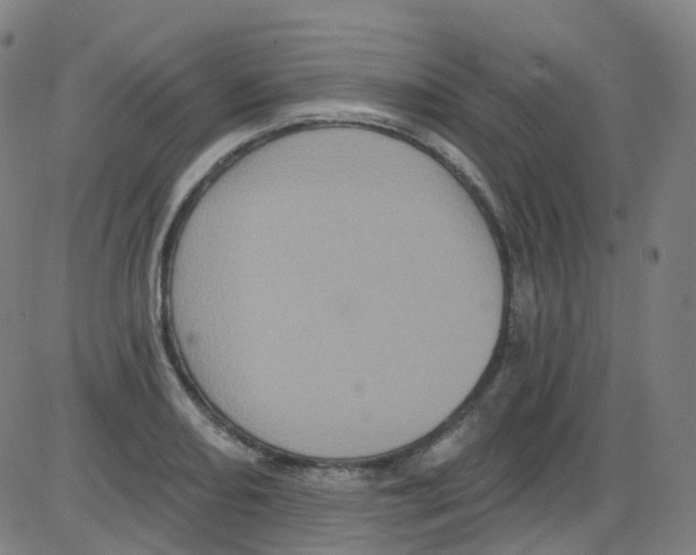 X0000084051082200703161851