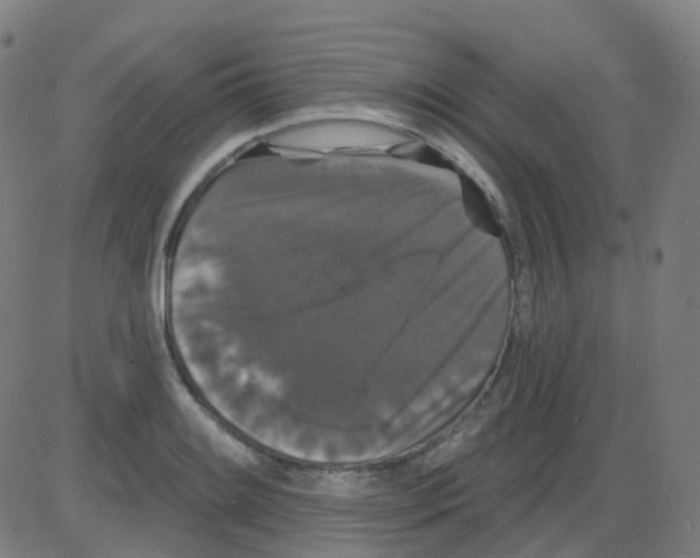 X0000084051084200703161851