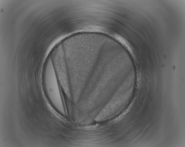 X0000084051085200703161851