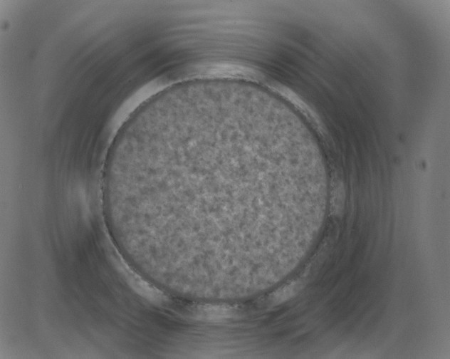 X0000084051086200703161851