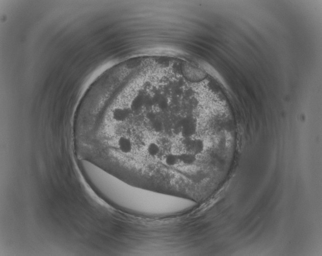 X0000084051087200703161851