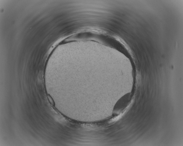 X0000084051089200703161850