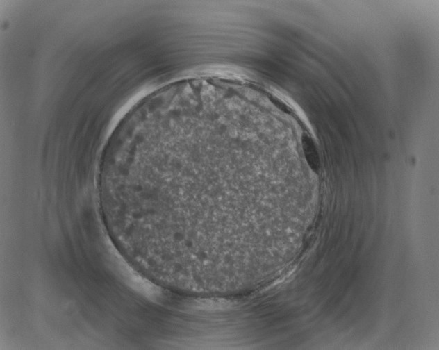 X0000084051091200703161850