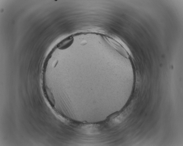 X0000084051093200703161850