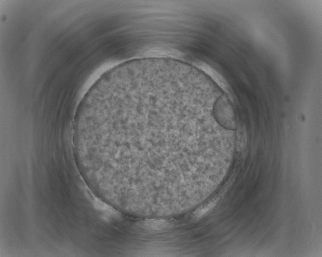 X0000084051094200703161850