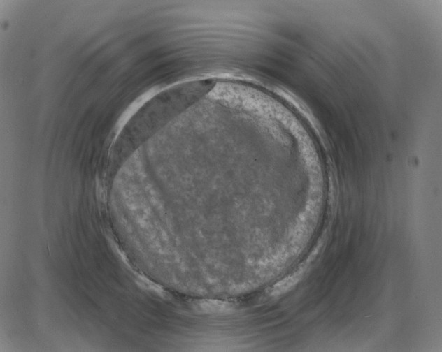 X0000084051097200703161850