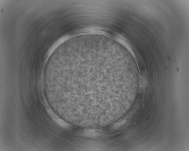 X0000084051098200703161850