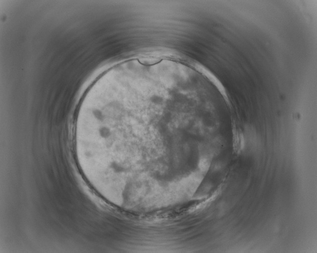 X0000084051099200703161850