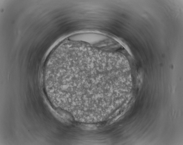 X0000084051101200703161850